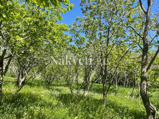 🏡 იყიდება მიწის ნაკვეთი თბილისთან ახლოს – საუკეთესო პირობებით!